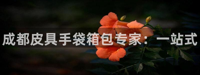 必一体育手机下载