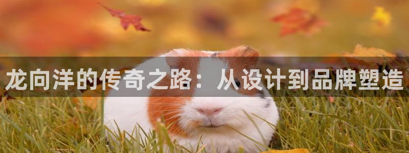 必一运动官网登录入口