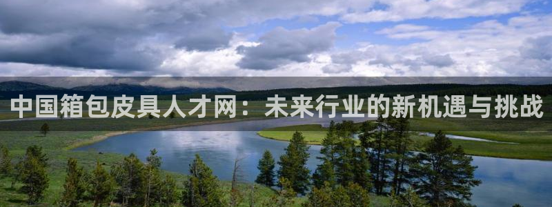 必一体育电子app