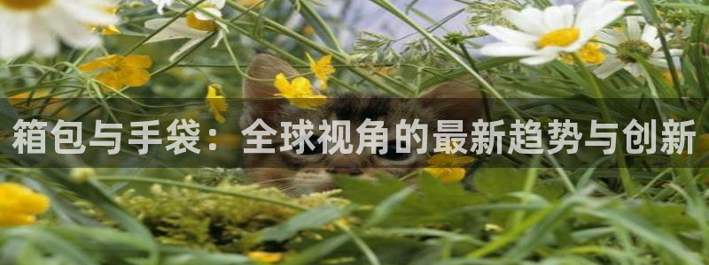 必一体育服下载最新版本更新内容