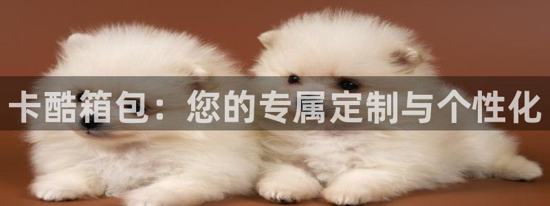 必一体育APP下载安装