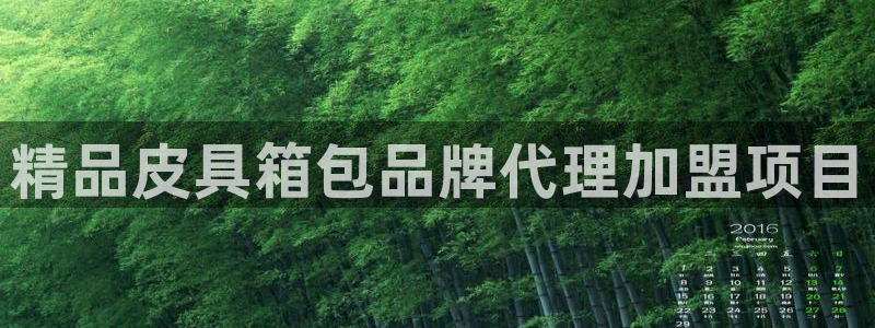 必一运动体育app