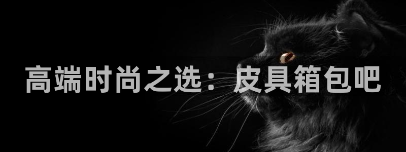 必一体育sport官方网站