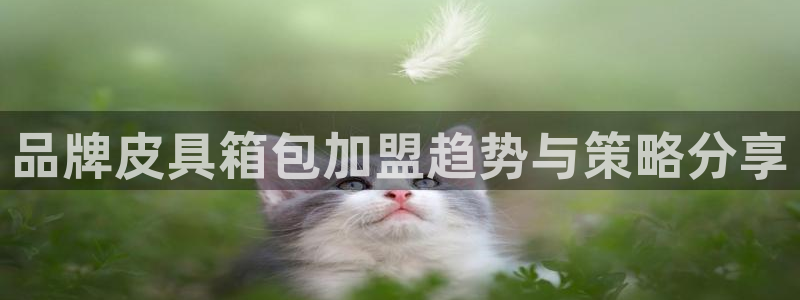 必一运动·(B-Sports)土豆