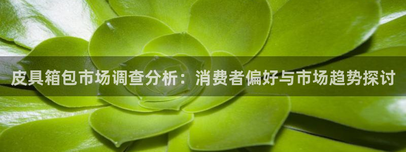 必一体育电子app
