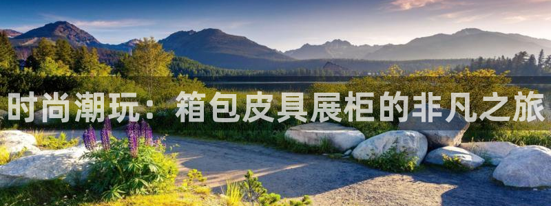 必一体育在哪下