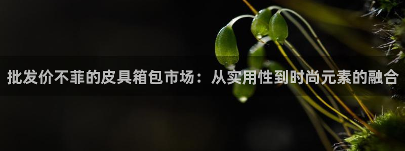 必一体育sport下载