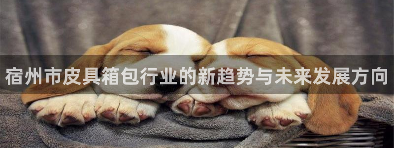 必一体育下载移动版