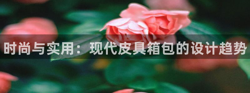 必一体育app官方下载入口