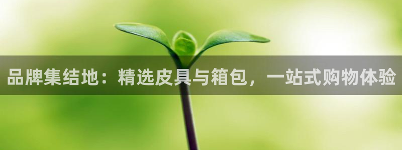 必一体育合法吗