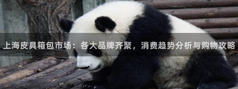 必一体育下载app下载