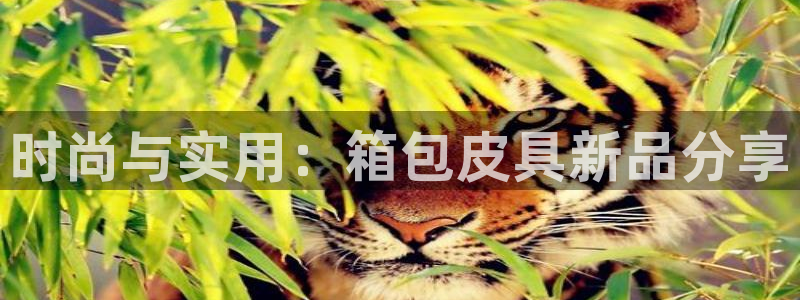 必一体育官网网址