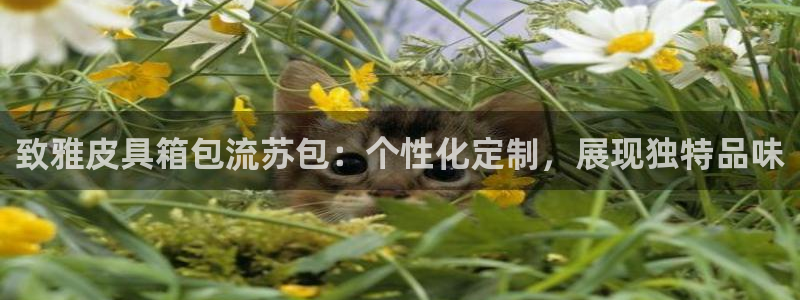 必一运动听的歌