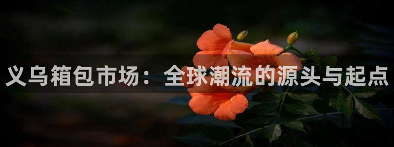 必一体育服下载最新版本更新内容