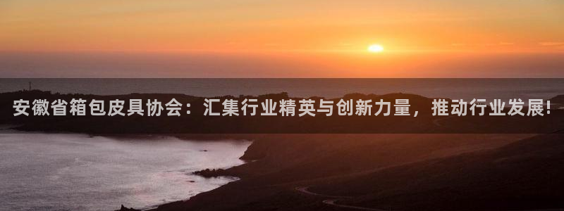 必一体育app官方正版下载