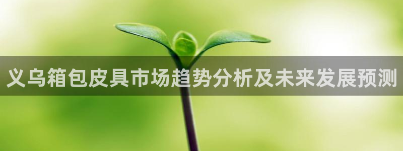 必一体育电子app