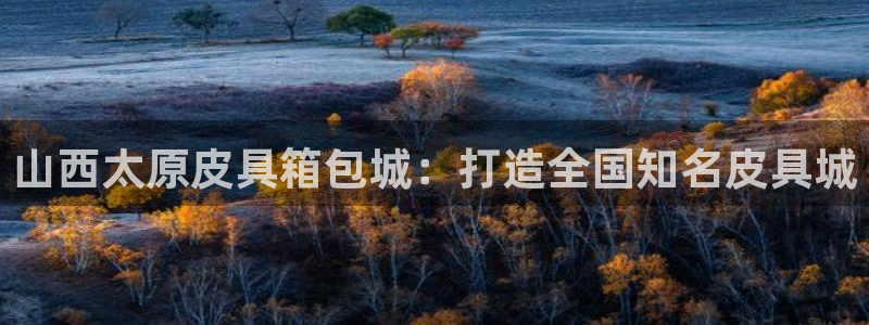 必一体育登录APP下载