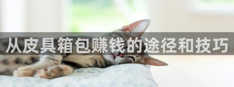 必一体育网址