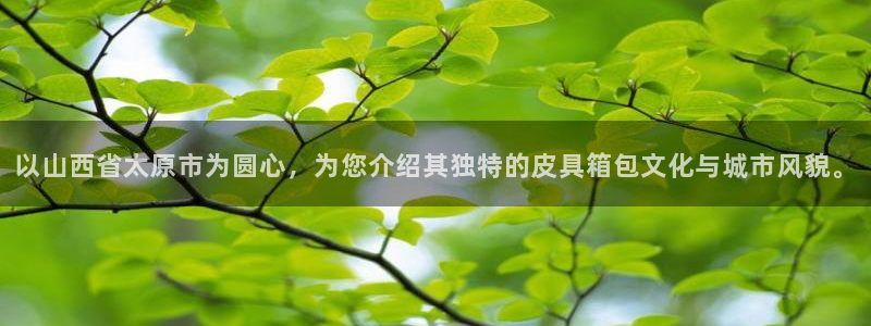 必一体育官方网站入口