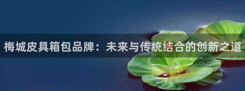 必一体育app官方正版下载