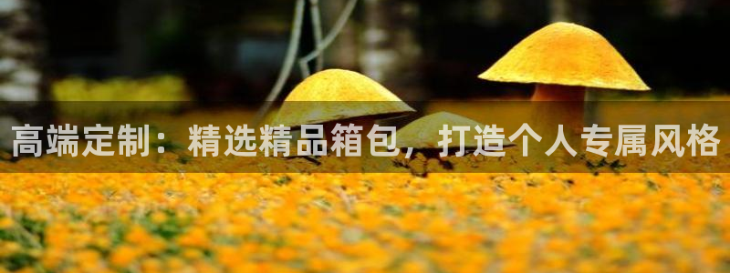 必一运动官网装机吧