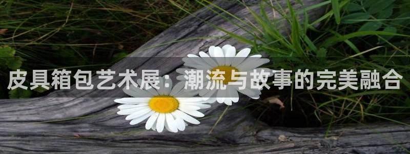 必一体育bsport2023-04-21