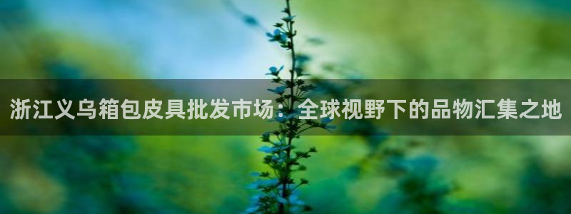 必一体育app官方