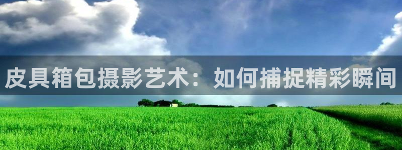 必一体育运动平台官网