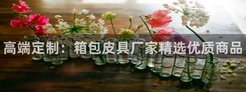 必一体育服下载最新版本更新内容
