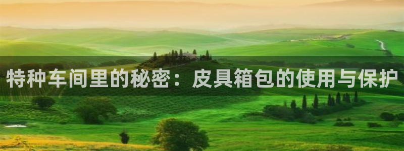 必一体育sportB体育