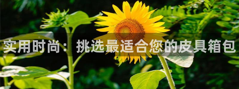 必一运动·(B-Sports)土豆