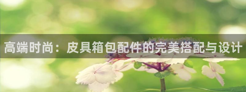 必一体育是啥