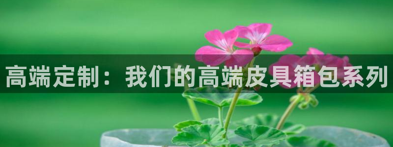 必一体育可靠吗