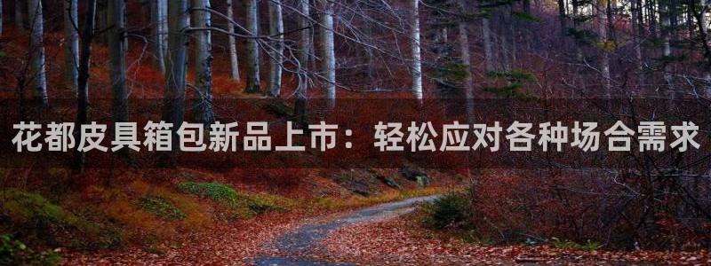 必一体育官网入口