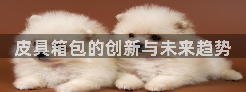 Bsport体育app必一