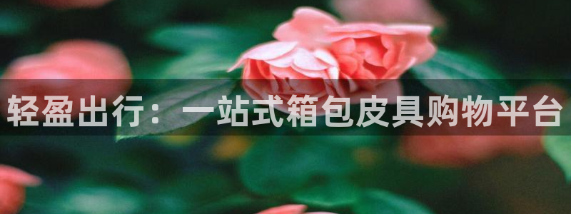 必一体育官方入口