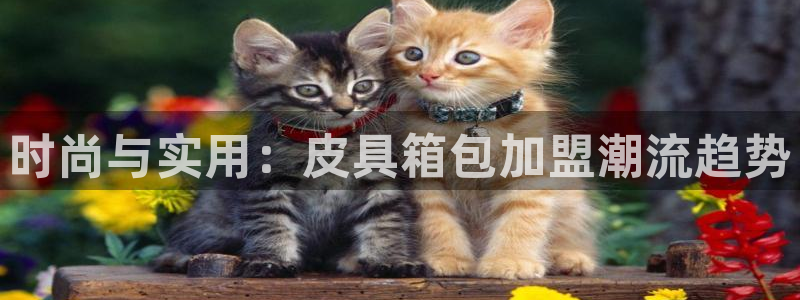 必一体育下载入口