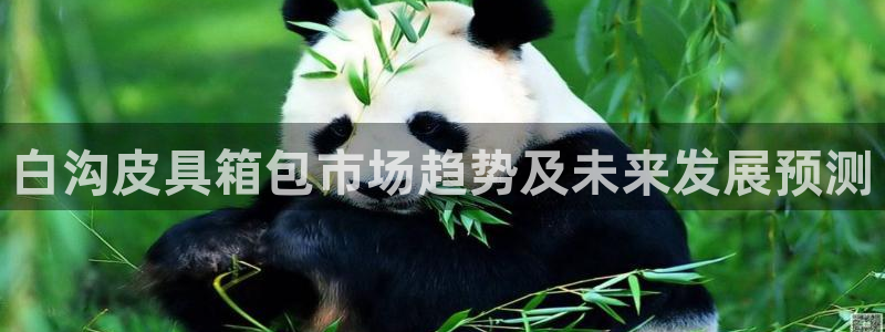 必一运动听的歌