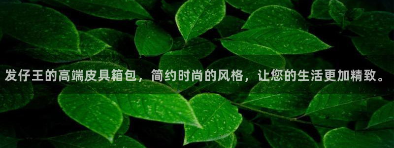Bsport体育app必一