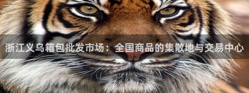 必一体育在线登陆
