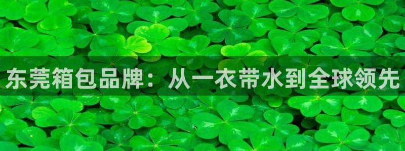 必一体育官方网站入口