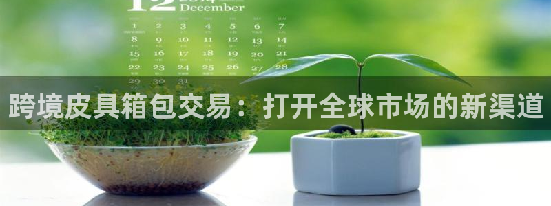 必一运动体育官网