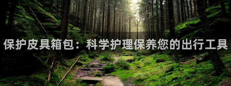 必一运动B-Sport官方网站入口