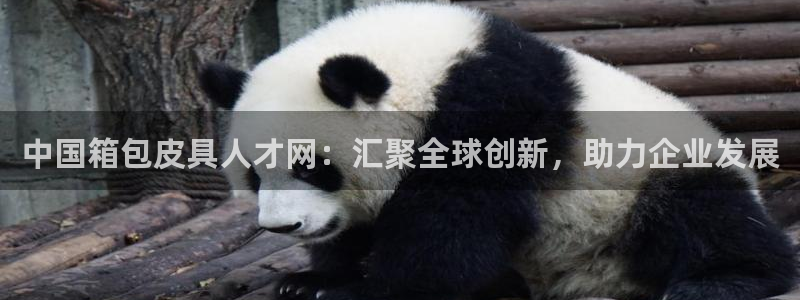 必一体育官网网址