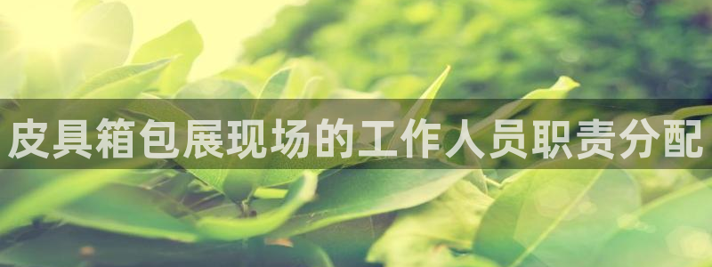 必一体育sport下载