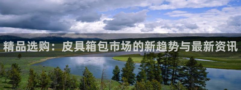 必一体育网站