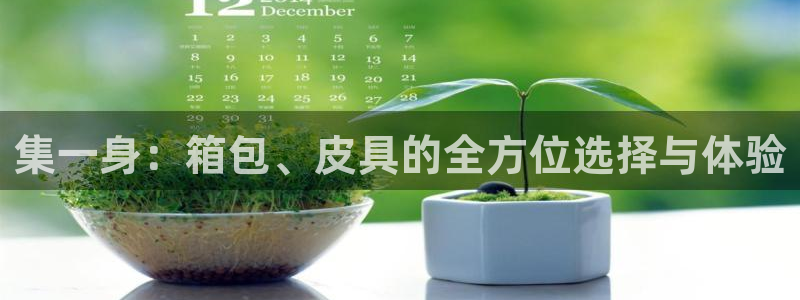 必一体育游戏特色