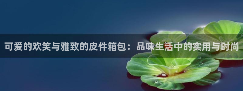 必一体育sport网页版