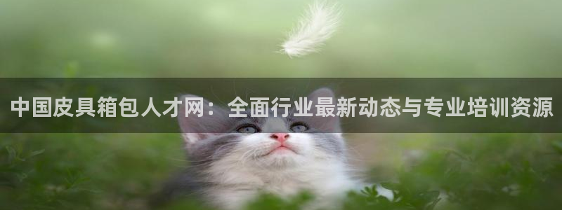 必一体育app下载安装