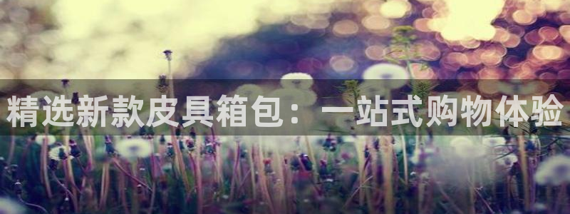 必一体育sport官方网站